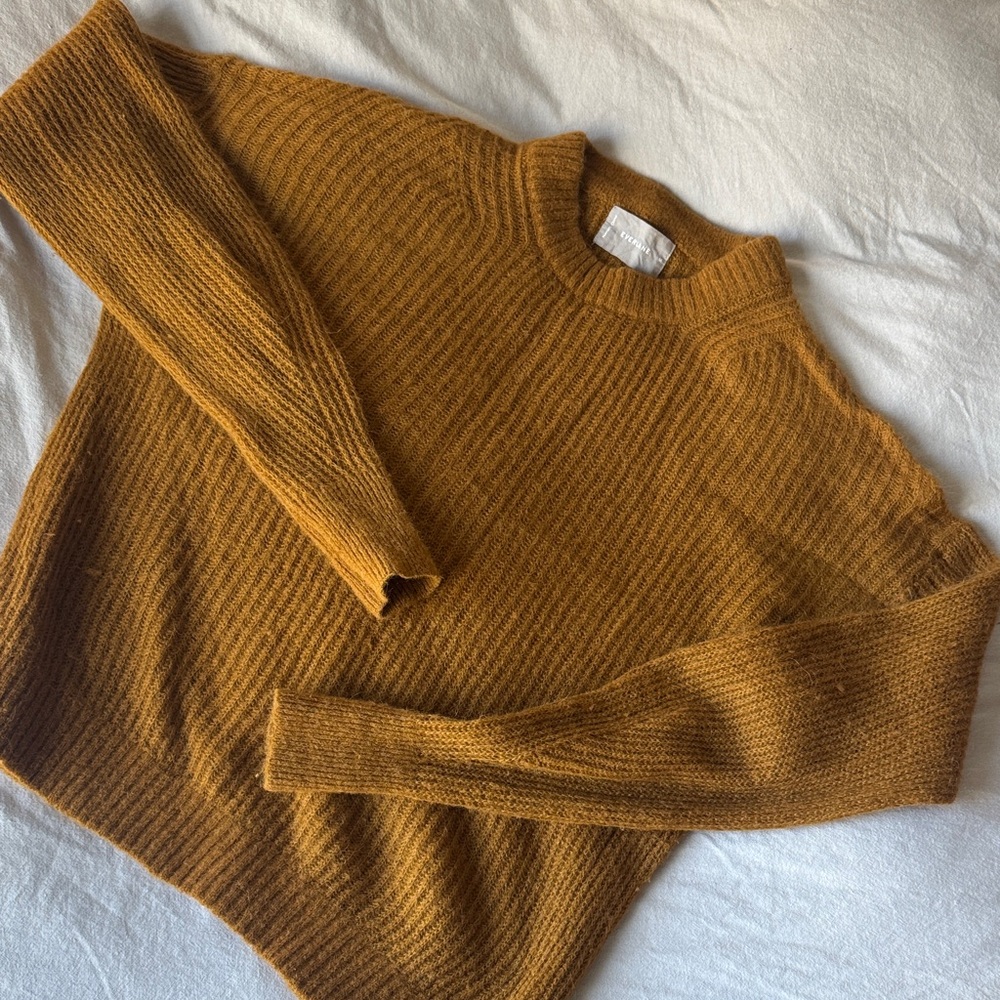 Everlane Alpaca Cocoon Crew Neck Sweater